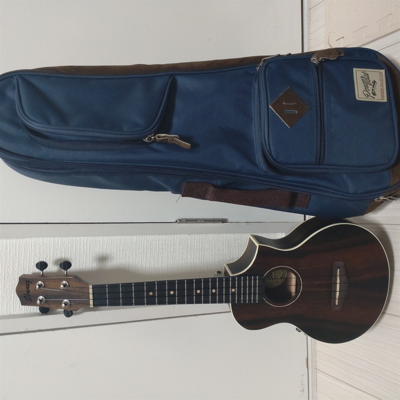 Ibanez UEW13MEE-DBOの画像